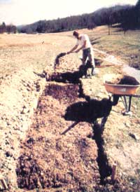 The Sullivans' garden has bloomed even more since they began employing biodynamic techniques.